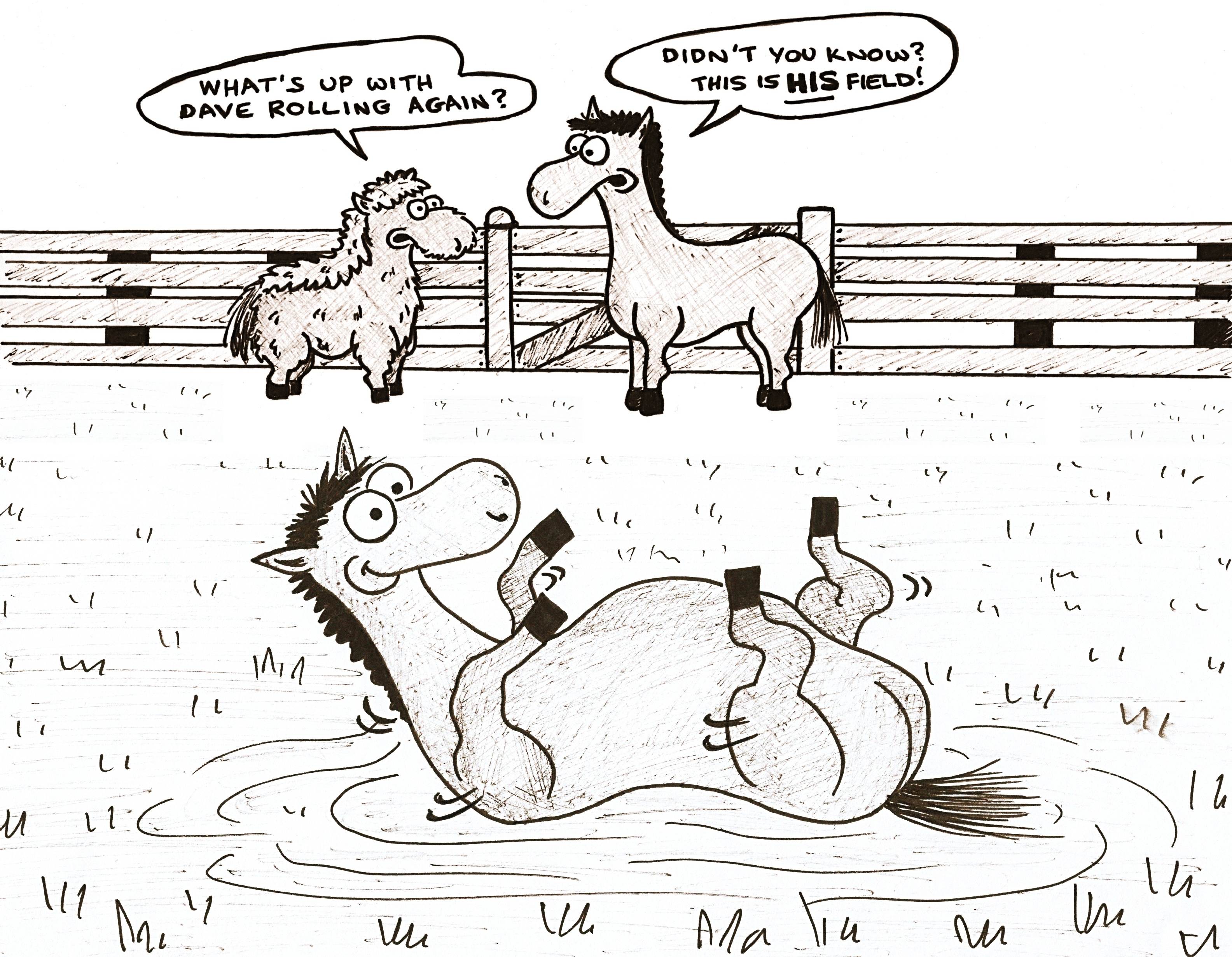 Rolling With It: Why Does My Horse Roll Around? - Horse Rookie